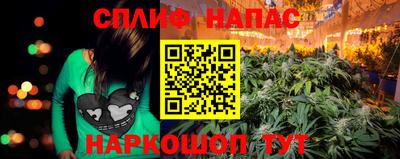 PSILOCYBIN Бугуруслан