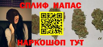 PSILOCYBIN Бугуруслан