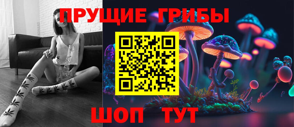 Псилоцибиновые грибы Psilocybe Крымск